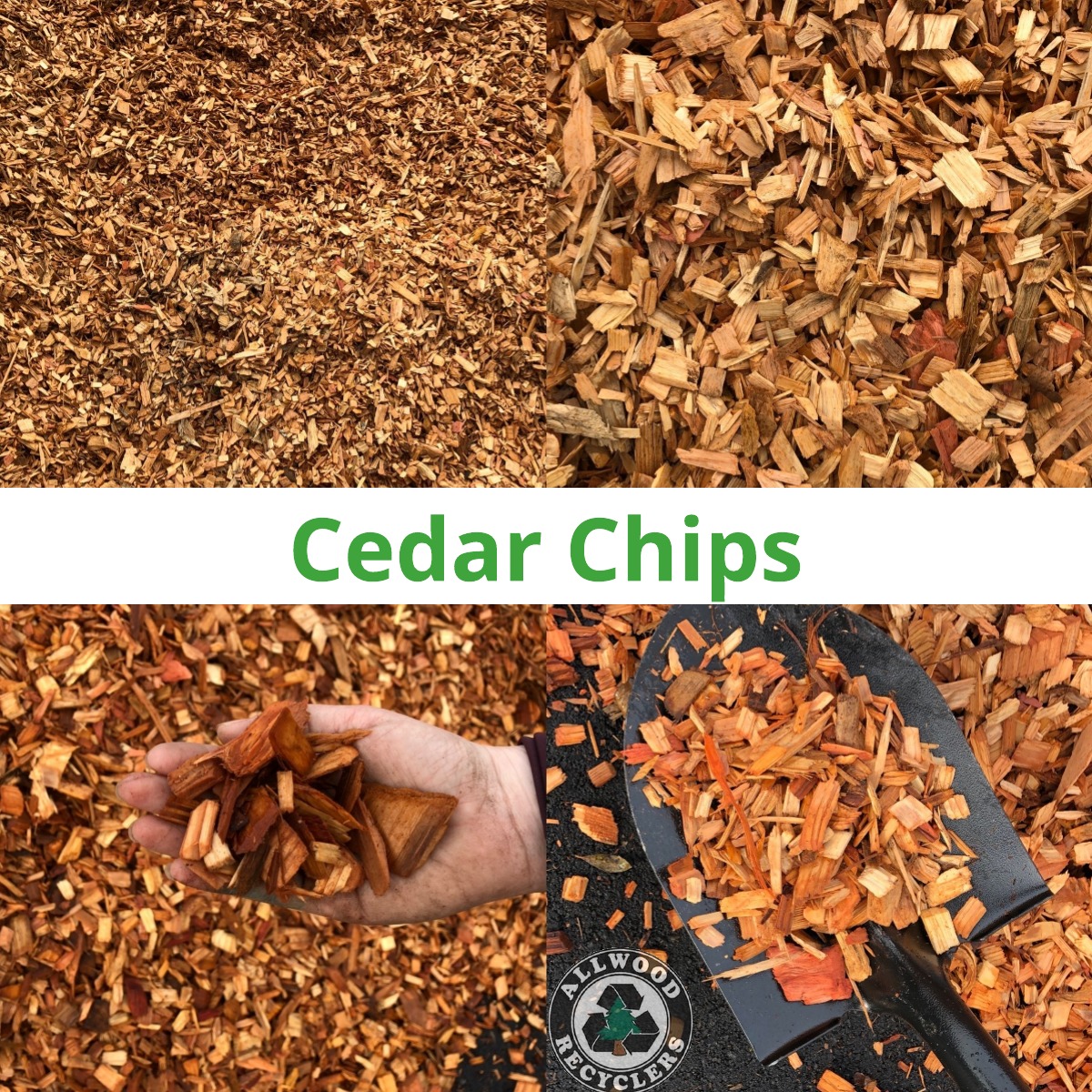 Cedar Wood Chips / Bear-Shaped Cedar Blocks – GreenLivingLife