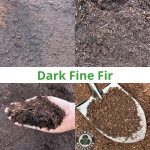 Dark Fine Fir