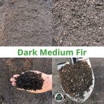 Dark Medium Fir