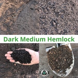 Dark Medium Hemlock