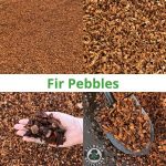 Fir Pebbles