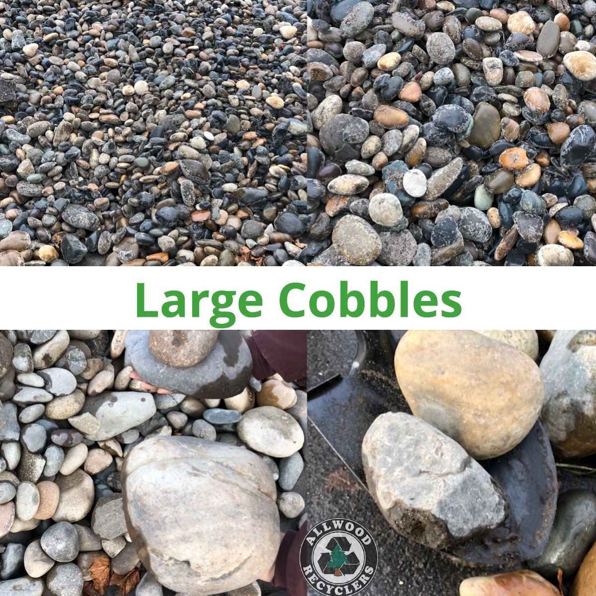 Large Cobbles