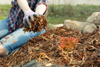 Bark Mulch Boring OR