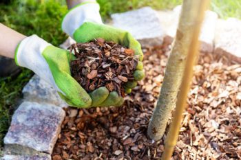 Bark Mulch Clackamas