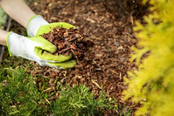 Bark Mulch Happy Valley OR