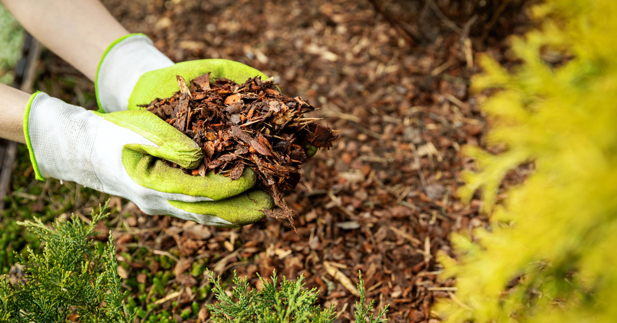Bark Mulch Happy Valley OR Allwood Recyclers Inc