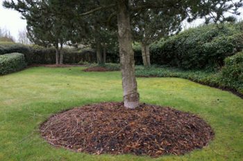 Brown Mulch Happy Valley OR