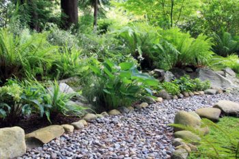 Landscape Rocks Gresham