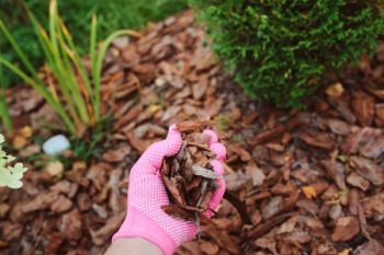 Landscaping Supply Stores Wood Village OR