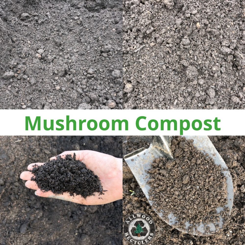 Mushroom Compost