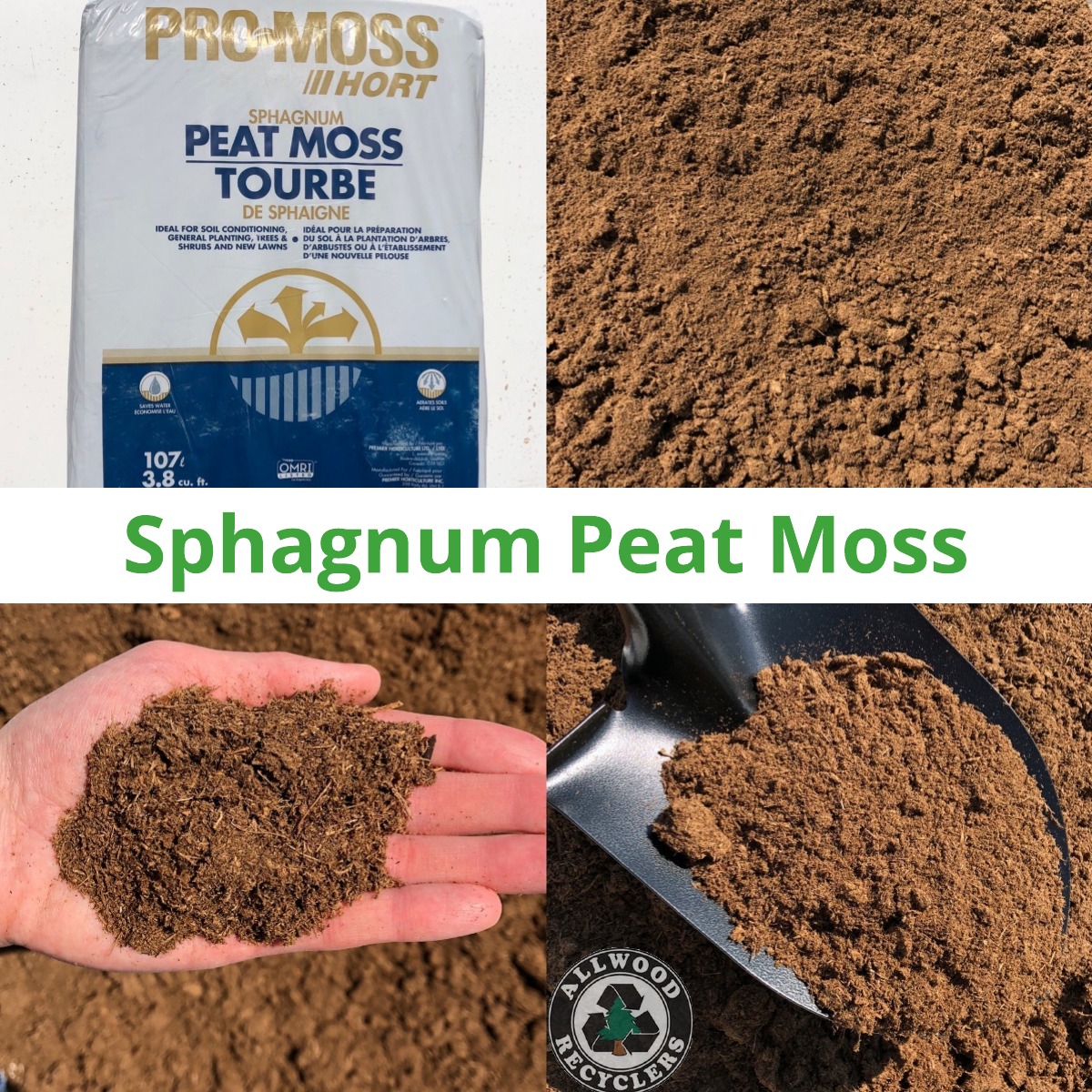 Sphagnum Peat Moss