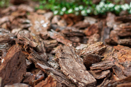 how to apply mulch oregon