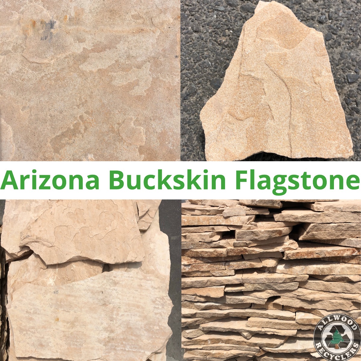 Arizona Buckskin Flagstone