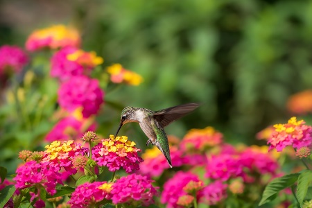 landscaping supplies near me troutdale