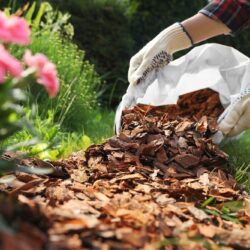 Bark Mulch Boring OR