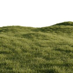 Landscape Supply Gresham Landscape Supply Gresham