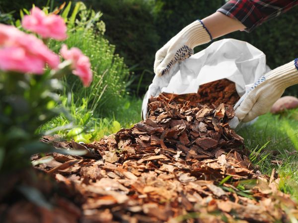 Landscape Supplies Offered By Allwood Recyclers Near Corbett Or