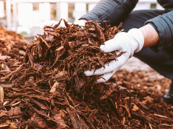 Landscape Supplies Offered By Allwood Recyclers Near Corbett Or